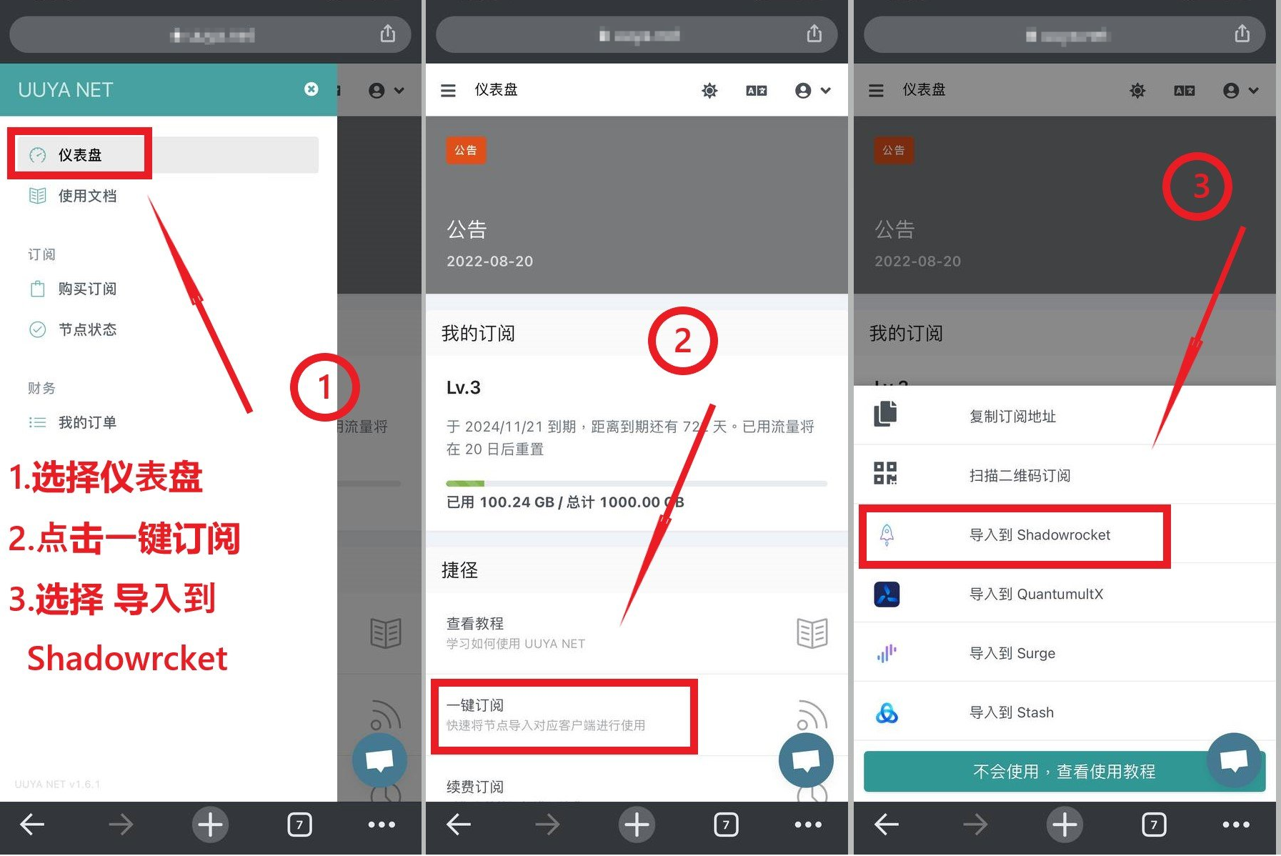 订阅导入界面